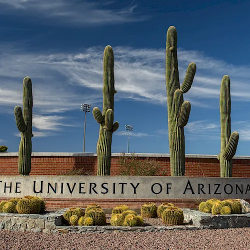 Tall saguaro cacti beside a sign reading “The University of Arizona” under a blue sky and clouds.