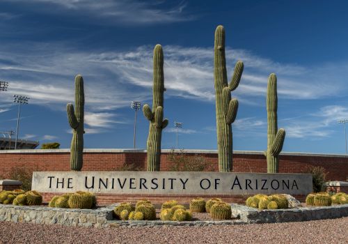 Tall saguaro cacti beside a sign reading &ldquo;The University of Arizona&rdquo; under a blue sky and clouds.