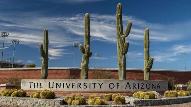 Tall saguaro cacti beside a sign reading &ldquo;The University of Arizona&rdquo; under a blue sky and clouds.