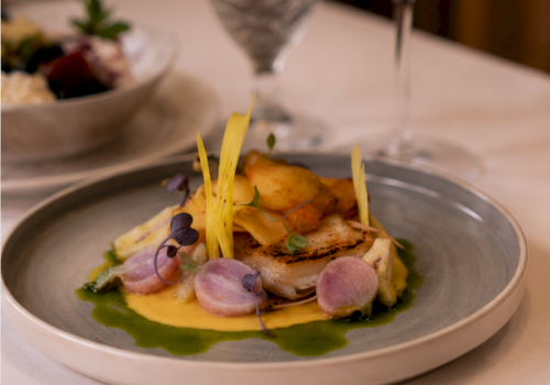 A plated gourmet entr&eacute;e with green pur&eacute;e, seared fish, radish slices, and yellow edible stems on a silver dish.