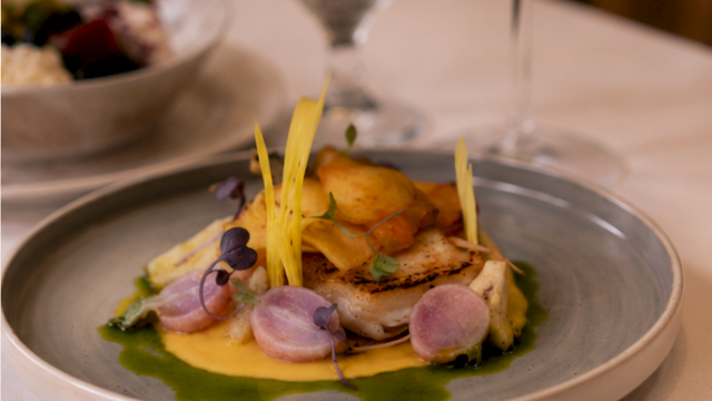 A plated gourmet entr&eacute;e with green pur&eacute;e, seared fish, radish slices, and yellow edible stems on a silver dish.