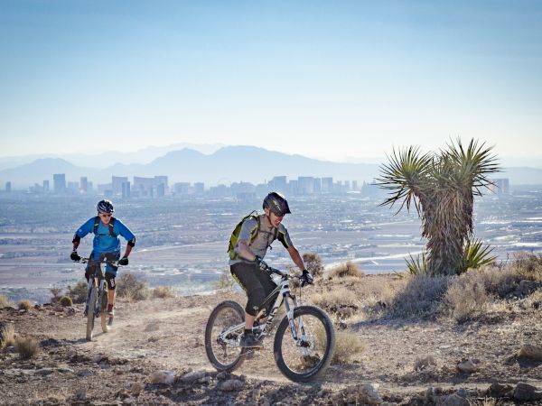 Two mountain bikers ride rocky hillside toward a distant city skyline under a clear blue sky, with desert palms nearby.