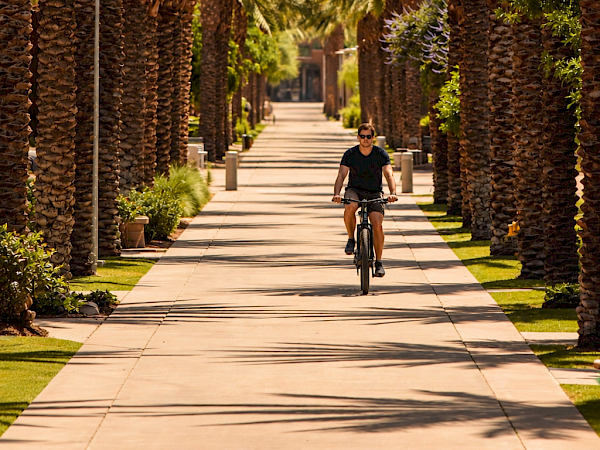 A cyclist rides down a sunny walkway lined with tall palm trees in a landscaped resort.