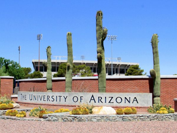Arizona campus sign at The University of Arizona with tall cacti and a brick entry in a sunny desert setting.
