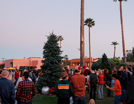 A crowd of people gathered outdoors in a park or yard at dusk, with palm trees, pink buildings, and a tall evergreen in the foreground, chatting and enjoying the scene.