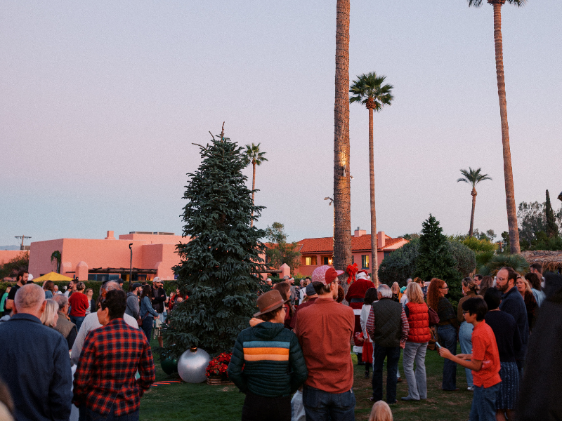 A crowd of people gathered outdoors in a park or yard at dusk, with palm trees, pink buildings, and a tall evergreen in the foreground, chatting and enjoying the scene.