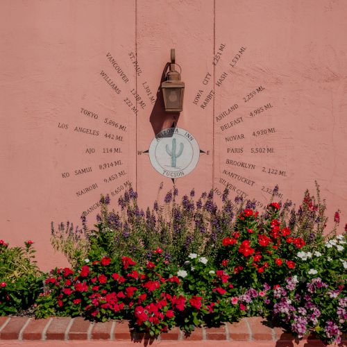A person stands on a low ledge above a bed of red flowers, against a pink wall, framed by a sunburst design behind them.