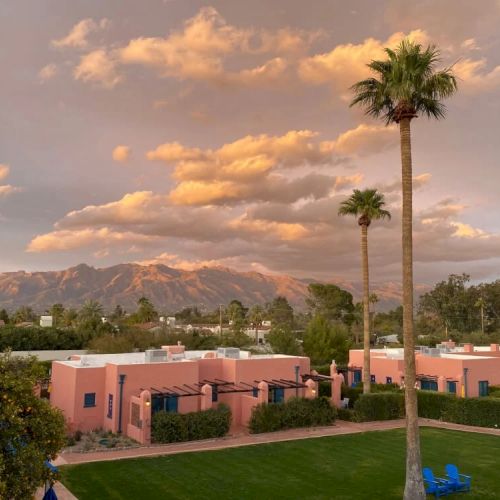 A scenic sunset view of a villa or estate with a palm tree, lawn, and rolling hills in the distance, casting warm light.