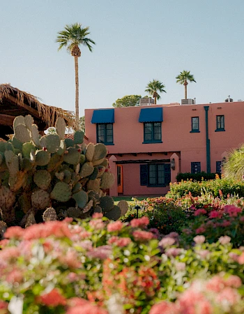 A pink coastal-style building with blue-trimmed windows, palm trees and blooming flowers in the foreground.