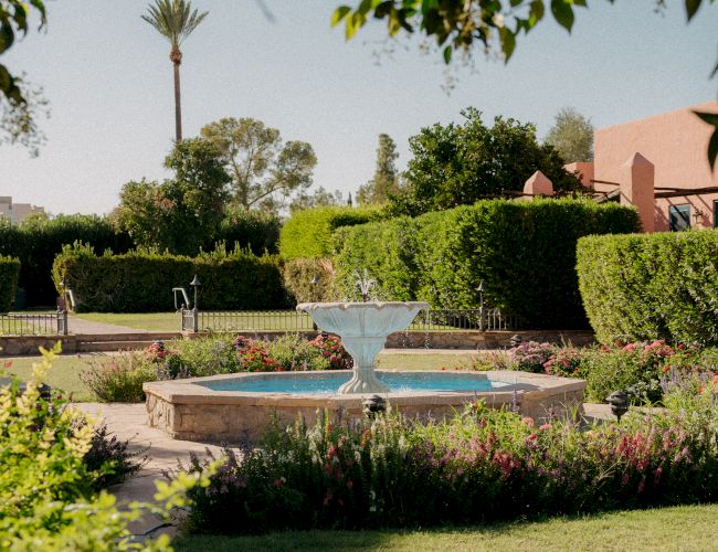 A sunny garden with a central fountain, lush hedges, vibrant flowers, and a spacious lawn surrounded by palm trees and a pink building in the background.