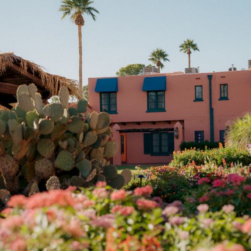 A pink stucco house with blue shutters, palm trees, and a garden full of blooming pink flowers; cactus in the foreground.