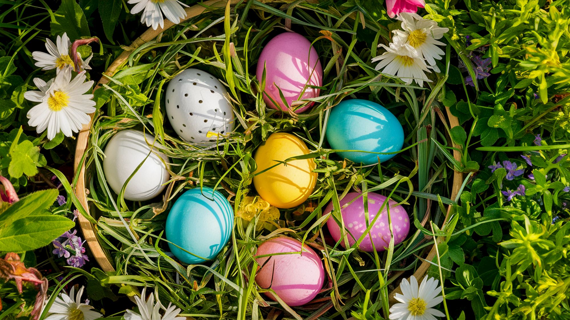 A nest of colorful Easter eggs&mdash;blue, pink, yellow, purple, white&mdash;set among green grass and white daisies, bright spring vibes.