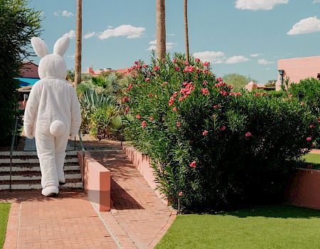 A person dressed in a white bunny costume walking along a brick path past flowering bushes and neatly trimmed lawns under a sunny sky.