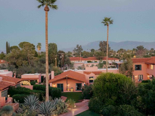 A suburban scene at dusk with palm trees, neat lawns, and a couple of yellow chairs on the grass, under a pale moonlit sky.