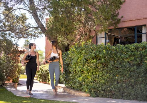 Two women walk along a sidewalk, each carrying a small dog; sunny day, greenery and a brick building in the background.