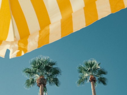 A bright yellow-and-white striped canopy above two tall palm trees under a clear blue sky, capturing a sunny, tropical vibe.